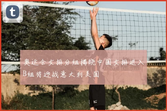 奥运会女排分组揭晓中国女排进入B组将迎战意大利美国