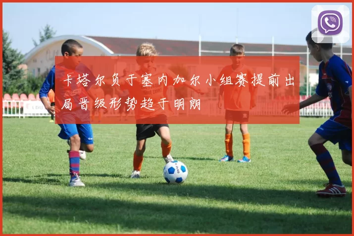 卡塔尔负于塞内加尔小组赛提前出局晋级形势趋于明朗