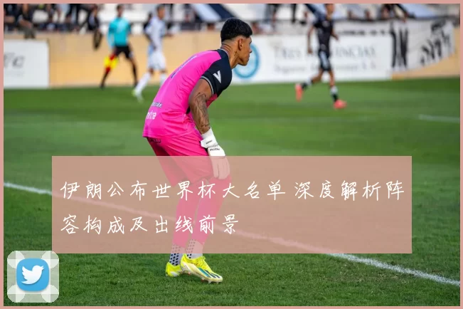 伊朗公布世界杯大名单 深度解析阵容构成及出线前景