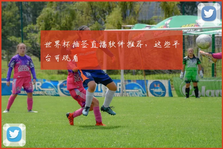 世界杯抽签直播软件推荐,这些平台可观看