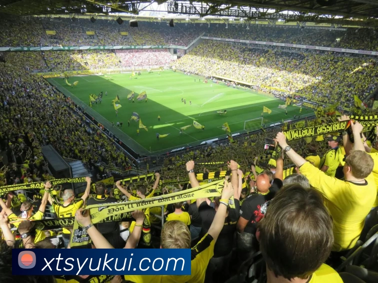 数据防护可视化